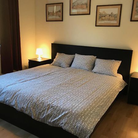 Lovely & Cozy Apartment Сіная Екстер'єр фото