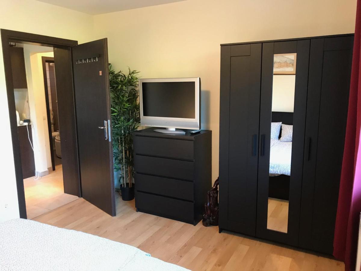 Lovely & Cozy Apartment Сіная Екстер'єр фото