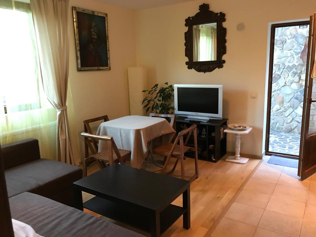 Lovely & Cozy Apartment Сіная Екстер'єр фото