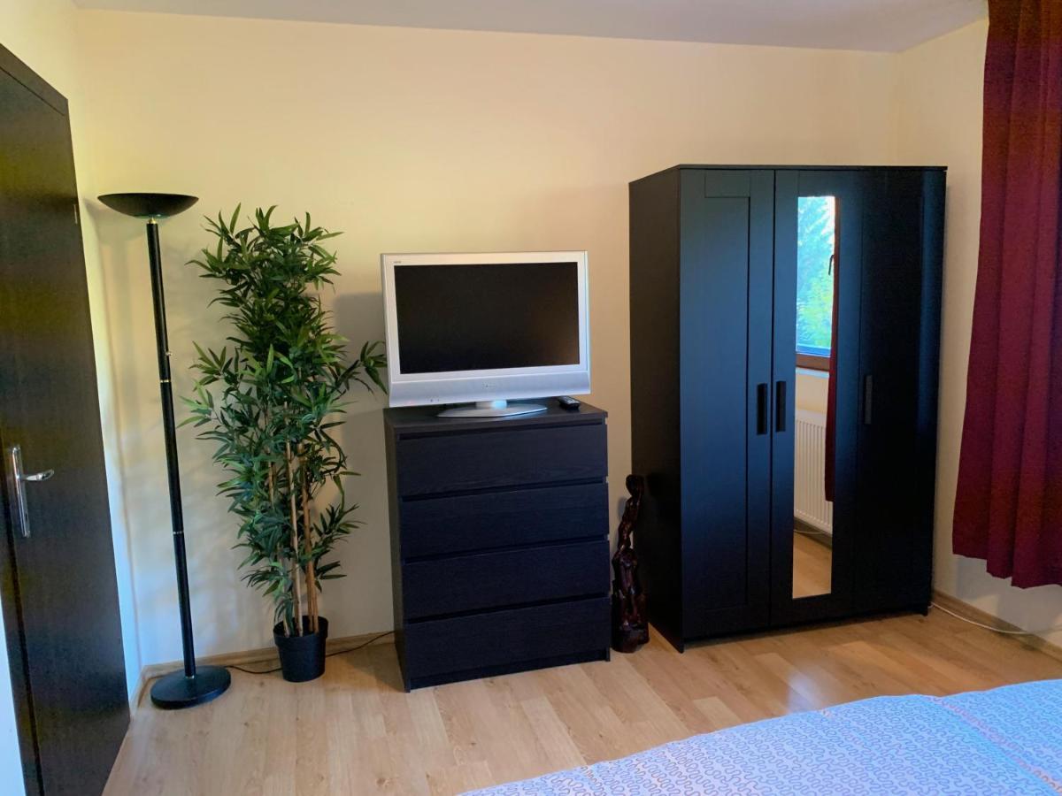Lovely & Cozy Apartment Сіная Екстер'єр фото