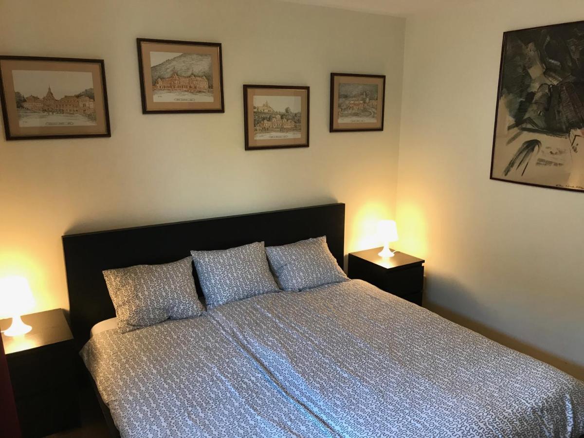 Lovely & Cozy Apartment Сіная Екстер'єр фото