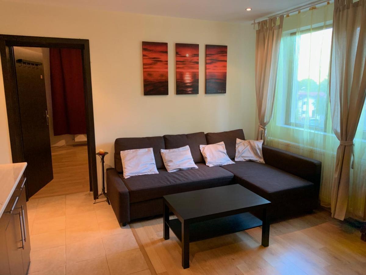 Lovely & Cozy Apartment Сіная Екстер'єр фото