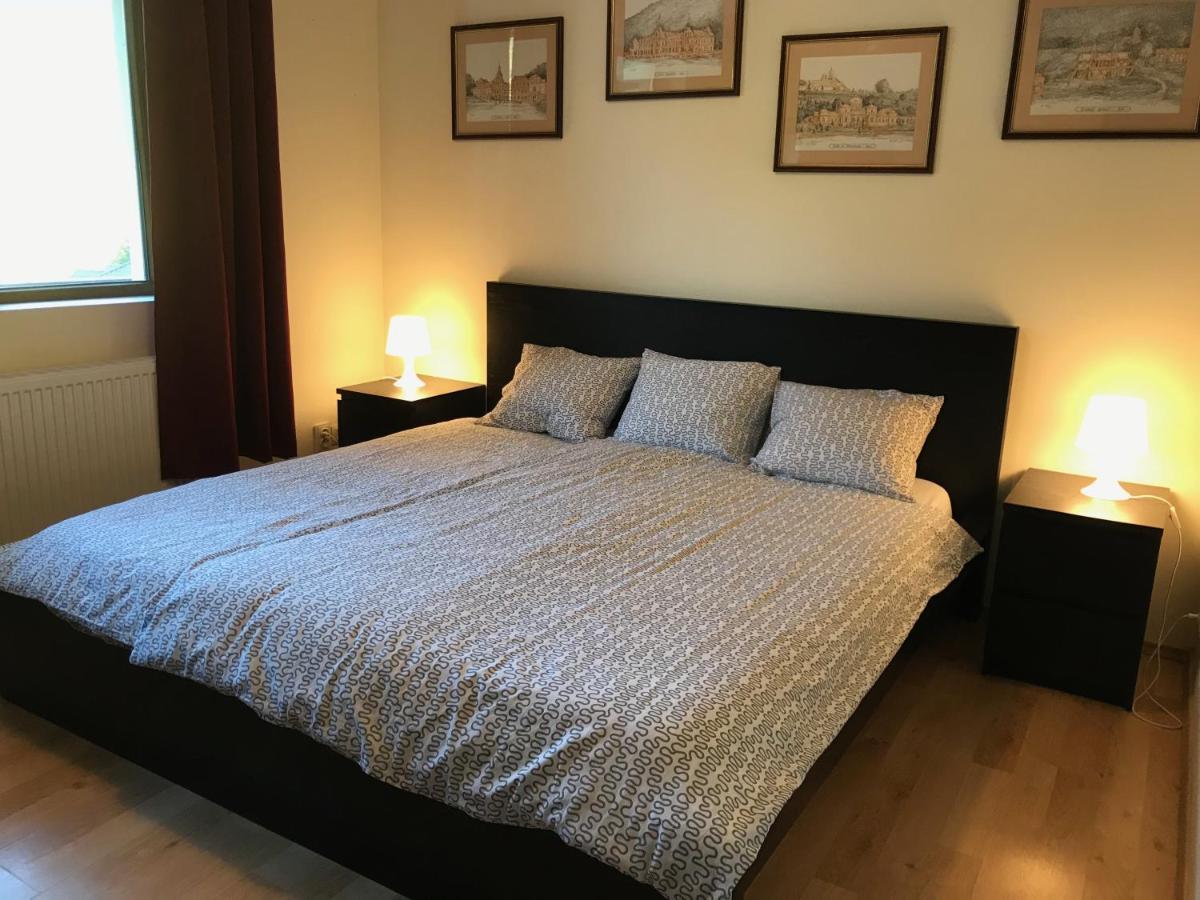 Lovely & Cozy Apartment Сіная Екстер'єр фото