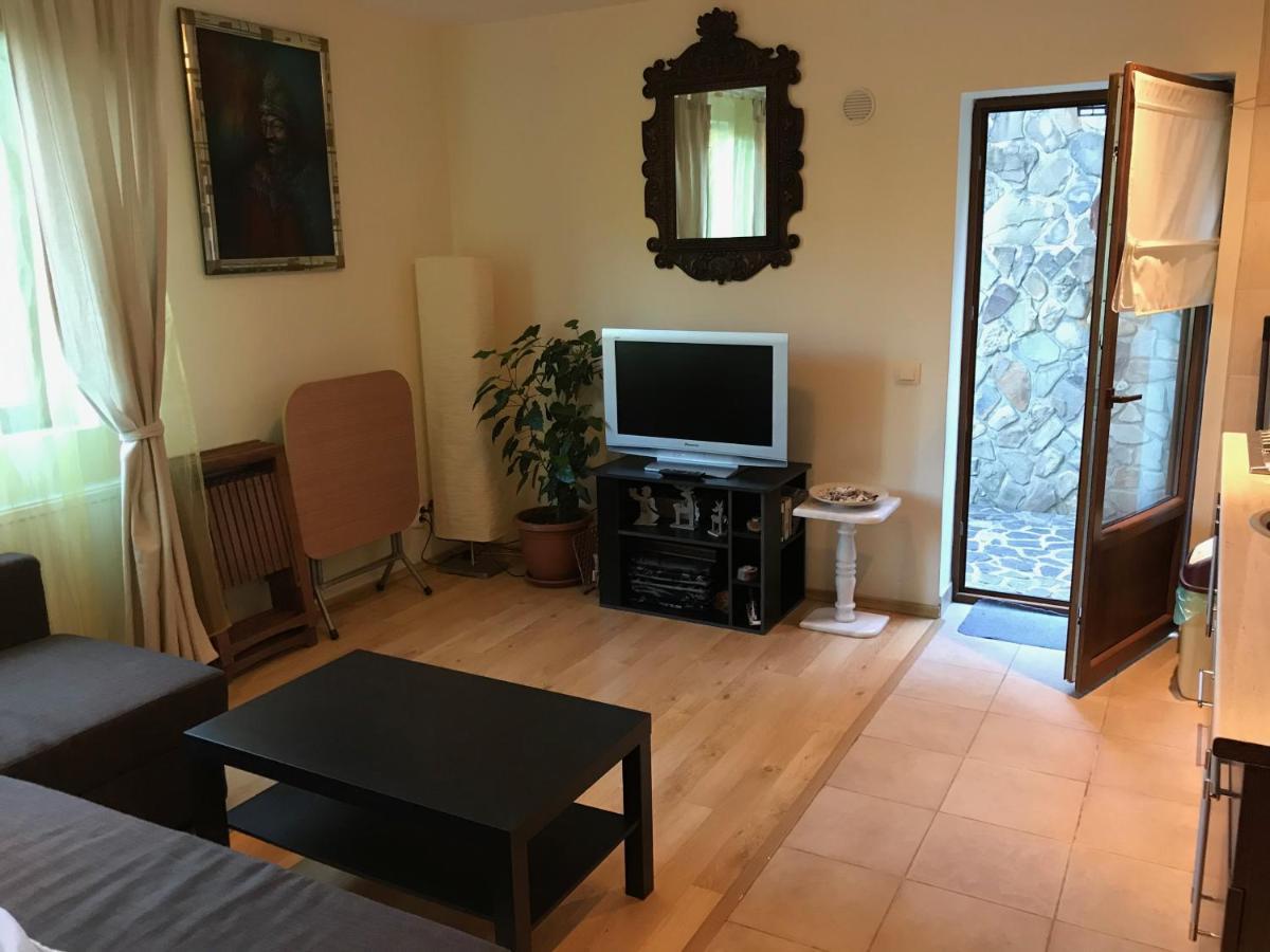 Lovely & Cozy Apartment Сіная Екстер'єр фото