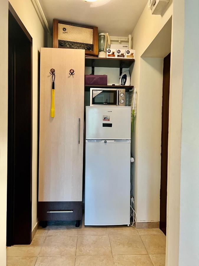 Lovely & Cozy Apartment Сіная Екстер'єр фото